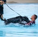A working dog wearing a tactical harness is actively engaging with a man in a pool, appearing to bite or grip his arm in what looks like a controlled training exercise. A handler stands at the edge holding the dog's leash. The scene is consistent with K9 bite/apprehension training conducted in a water environment.