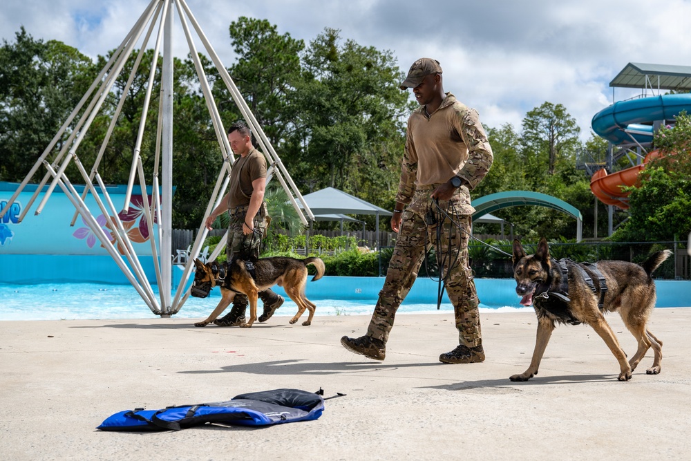 Two military or law enforcement personnel in camouflage uniforms are conducting K9 training exercises at what appears to be a closed or repurposed water park facility. Each handler is working with a German Shepherd dog wearing a tactical harness. The setting features a swimming pool, water slides, and decorative structures in the background.