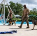 Two military or law enforcement personnel in camouflage uniforms are conducting K9 training exercises at what appears to be a closed or repurposed water park facility. Each handler is working with a German Shepherd dog wearing a tactical harness. The setting features a swimming pool, water slides, and decorative structures in the background.