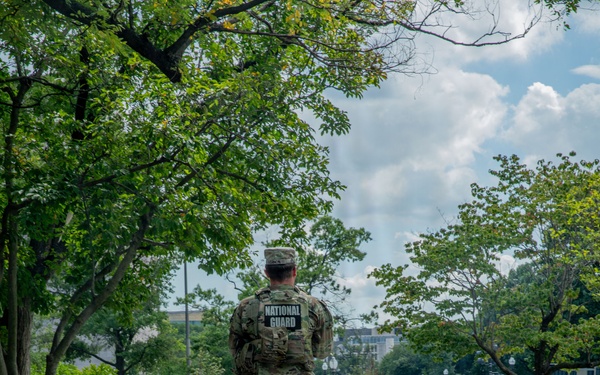 A National Guard soldier in full camouflage uniform is walking away from the camera along a wide brick pedestrian pathway lined with mature trees. The soldier is wearing tactical gear including a vest with 'NATIONAL GUARD' printed on the back. The setting appears to be an urban park or government campus area, likely Washington D.C., based on the architecture and landscape visible in the background.