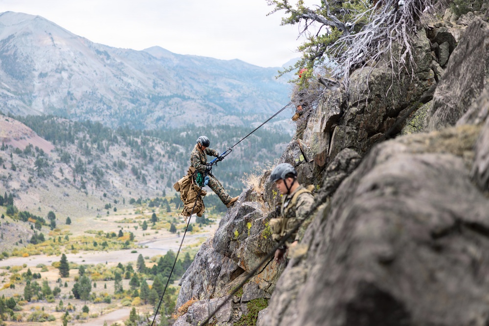 Two individuals in military-style camouflage uniforms and helmets are rappelling down a steep rocky cliff face in a mountainous environment. One person is actively descending on a rope while the other appears to be positioned on a rock ledge, likely acting as a belayer or observer. The backdrop features a sweeping mountain valley with conifer forests, open terrain, and layered mountain ridges under an overcast sky.