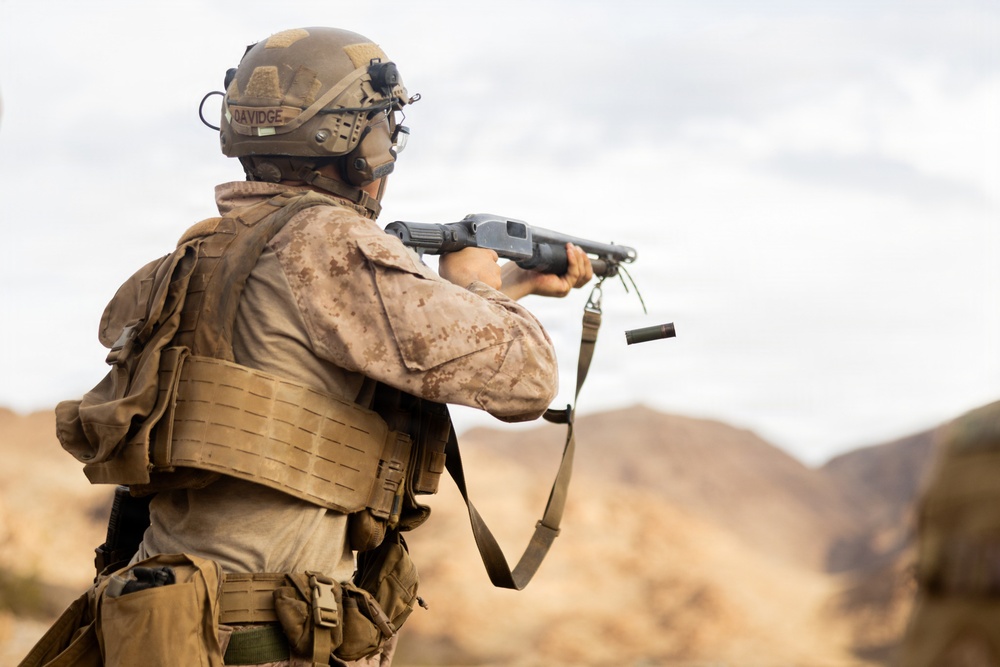 A military service member in desert MARPAT camouflage is shown from behind, aiming a shotgun in an arid, desert environment. The soldier is wearing full combat gear including a tactical vest, helmet with communications equipment, and a name tape reading 'DAVIDGE'. The background features rocky desert terrain and an overcast sky.