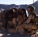 A uniformed military service member in desert camouflage is positioned behind a large boulder in an arid, rocky desert environment. The soldier is equipped with full combat gear including a helmet with communications equipment, body armor, a backpack, and is holding a rifle. The setting appears to be a training exercise or operational patrol in a desert terrain with mountains visible in the background.