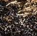The image shows a large pile of spent brass bullet casings mixed with dark metal shavings or curled metal debris. The casings appear to be of varying calibers, predominantly rifle-sized, in various states of oxidation ranging from bright brass to darkened patina. This appears to be a collection of recycled or discarded ammunition components, likely from a shooting range or metal recycling facility.