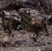 A group of heavily equipped military personnel in desert camouflage uniforms are moving through a rocky, mountainous terrain. The soldiers are carrying large backpacks, weapons, and ammunition belts, suggesting a patrol or tactical movement exercise. The environment appears arid and rugged, consistent with a desert or semi-arid mountain region.