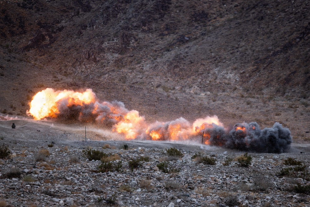 The image shows a series of controlled explosions occurring in a rocky, arid desert valley or canyon setting. Multiple simultaneous detonations are visible along what appears to be a linear path or road, producing large orange fireballs and dark gray smoke clouds. The setting and pattern of explosions suggest a military demolition exercise or mine-clearing operation.