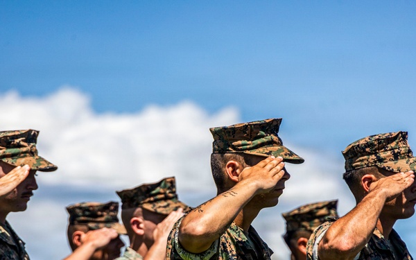 A formation of U.S. Marines in digital camouflage uniforms (MARPAT pattern) are executing a salute in unison during what appears to be a formal military ceremony or parade. Multiple rows of personnel are visible, all performing the hand salute simultaneously. The image is taken outdoors under a partly cloudy blue sky.