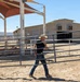 U.S. Marine Corps Mounted Color Guard Operations