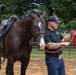 A tattooed man wearing a dark polo shirt, jeans, and a baseball cap is handling a dark brown saddled horse in an outdoor dirt arena. He holds a red lead rope while standing beside the horse, which has a white blaze marking on its face. A second person in a white cowboy hat is partially visible on the left edge of the frame.