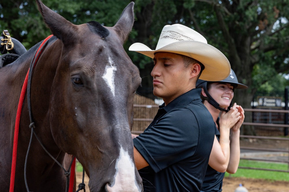 A young man wearing a white cowboy hat and black polo shirt stands beside a dark brown horse with a white blaze marking, fitted with a red lead rope. Behind him, a smiling young woman is adjusting or fastening a riding helmet. The setting appears to be a horse stable or equestrian facility with wooden fencing and trees visible in the background.