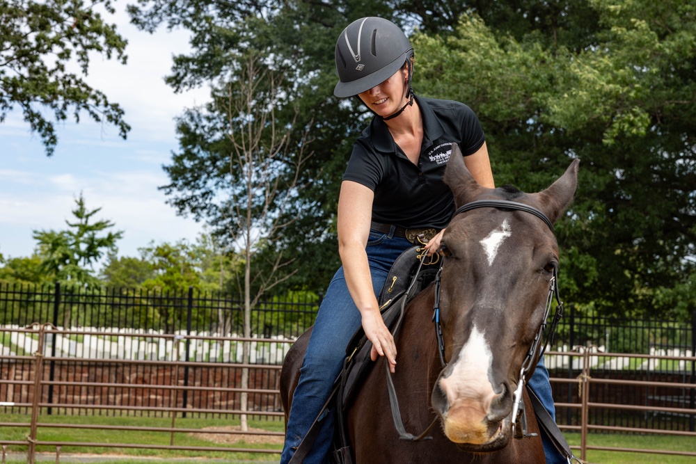 A woman wearing a black equestrian helmet and black polo shirt is riding a dark brown horse with a white blaze marking on its face. She is leaning forward and appears to be patting or stroking the horse's neck in an enclosed riding area. The setting appears to be an outdoor equestrian facility with metal fencing and mature trees in the background.