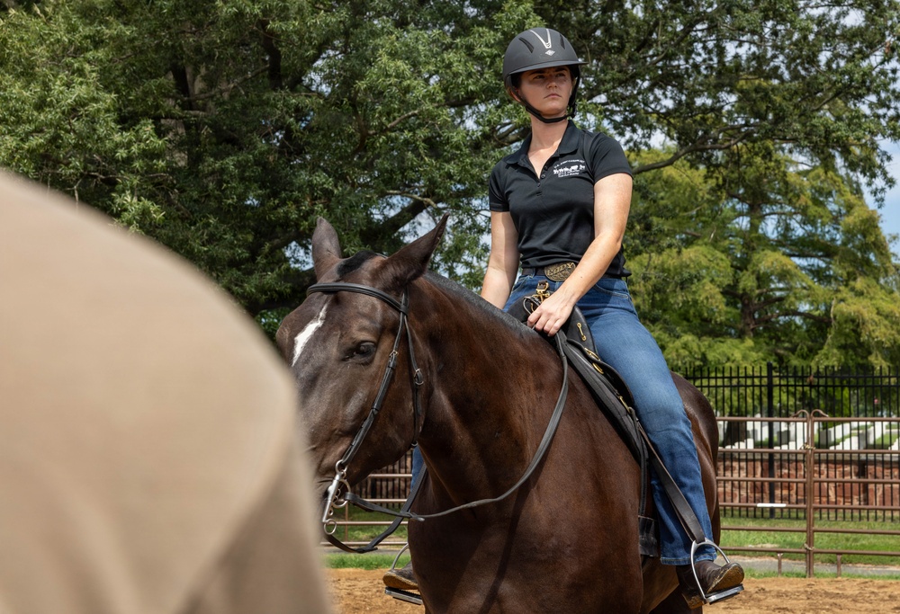 A woman wearing a black polo shirt, blue jeans, and a black riding helmet is seated atop a dark bay horse in an outdoor equestrian arena. The rider appears focused and composed, holding the reins with a relaxed posture. The setting includes a fenced riding area with large trees and what appears to be a facility or barn structure in the background.