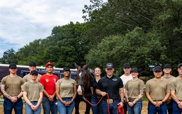 Military Mounted Battalion Selection Assessment – Sept. 3, 2026