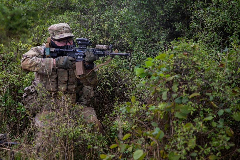 A soldier in full multicam camouflage gear is positioned in dense vegetation, aiming an assault rifle forward. The individual is equipped with tactical body armor, a plate carrier with magazine pouches, and optical sights mounted on the weapon. The setting appears to be a field training exercise or operational patrol in a wooded or brushy environment.