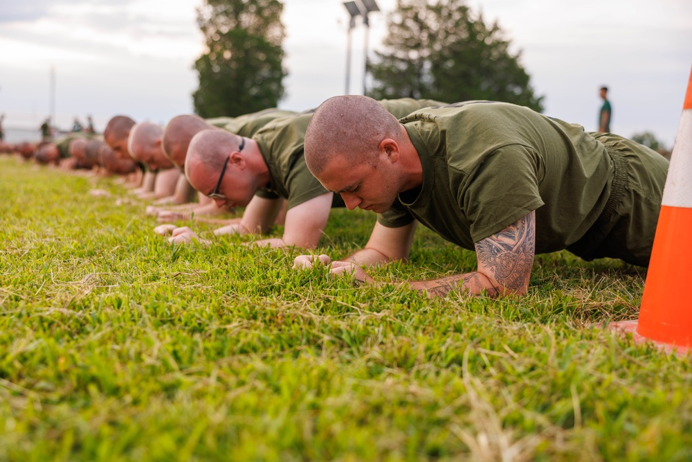 A line of military personnel in olive green t-shirts are performing plank exercises on a grass field. The individuals have shaved heads and are in a uniform formation, suggesting a structured physical training session. An orange traffic cone is visible on the right edge, indicating a marked training area.