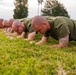 A line of military personnel in olive green t-shirts are performing plank exercises on a grass field. The individuals have shaved heads and are in a uniform formation, suggesting a structured physical training session. An orange traffic cone is visible on the right edge, indicating a marked training area.