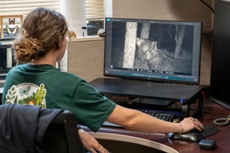 Hurlburt monitors black bear movements to reduce encounters