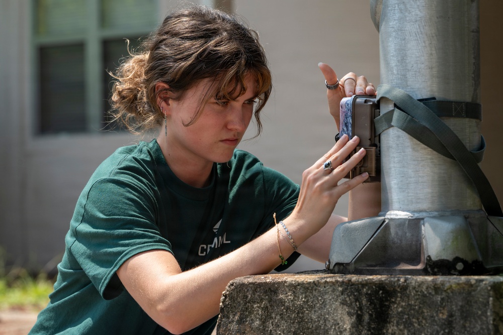 A young woman wearing a green 'CMML' t-shirt is carefully installing or adjusting a trail/wildlife camera onto a metal pole secured with a strap. She is focused intently on the device, using both hands to position or configure it. The setting appears to be an outdoor area near a building, photographed in bright daylight.