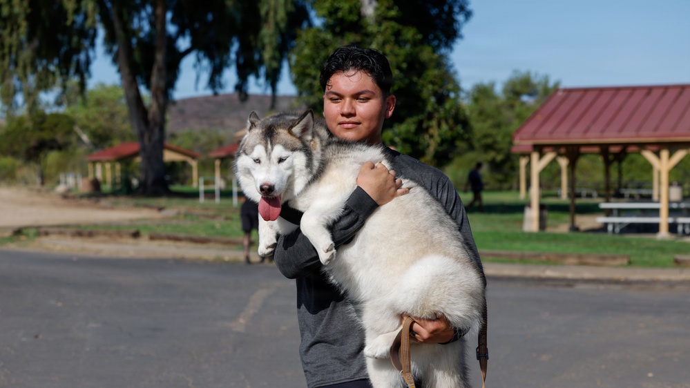 A young man is holding a Siberian Husky dog in his arms at what appears to be a public park. The dog has a gray and white coat with its tongue out, and the man is carrying it with both arms. The setting includes park pavilions, green grass, trees, and a paved path in the background.