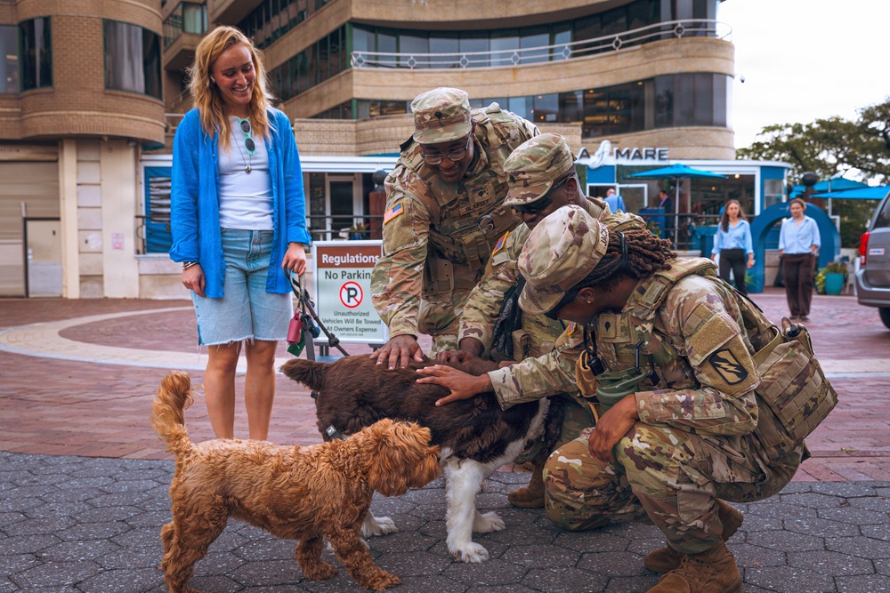 Two U.S. Army soldiers in MultiCam (OCP) uniforms crouch down to pet two dogs — one brown-and-white and one golden/auburn — held on leashes by a smiling woman in a blue cardigan and denim shorts. The interaction takes place on a brick plaza in front of what appears to be a waterfront commercial or dining area. The scene conveys a lighthearted, candid moment between military personnel and a civilian dog owner.