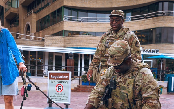 A group of U.S. Army soldiers in MultiCam camouflage uniforms interact with two dogs in an outdoor plaza or waterfront area. One soldier is kneeling down to pet a brown-and-white Springer Spaniel, while a woman in a blue jacket holds a leash attached to a reddish Cockapoo or Doodle-type dog nearby. The scene appears relaxed and friendly, set against a commercial building with a 'No Parking' regulations sign visible.