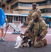 A group of U.S. Army soldiers in MultiCam camouflage uniforms interact with two dogs in an outdoor plaza or waterfront area. One soldier is kneeling down to pet a brown-and-white Springer Spaniel, while a woman in a blue jacket holds a leash attached to a reddish Cockapoo or Doodle-type dog nearby. The scene appears relaxed and friendly, set against a commercial building with a 'No Parking' regulations sign visible.