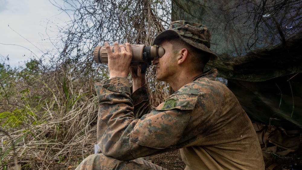 A military service member in woodland camouflage uniform and boonie hat is using binoculars to observe a distant area from a concealed position. The individual is positioned near natural brush and a camouflage netting structure, suggesting a surveillance or reconnaissance operation. The setting appears to be a field training exercise or operational deployment in a vegetated outdoor environment.