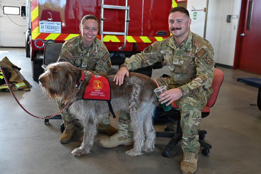 Two U.S. Air Force personnel in OCP (Operational Camouflage Pattern) uniforms pose with a First Responder Therapy Dog inside what appears to be a fire station. The dog, a wire-haired pointing griffon or similar breed, is wearing a red vest labeled 'First Responder Therapy Dog.' A red fire truck is visible in the background with a U.S. Government license plate reading 'AF14C00084'.