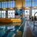 An indoor swimming pool facility is being used for what appears to be a military or emergency survival training exercise. A large yellow inflatable life raft labeled 'ENTER' is deployed in the pool, while several individuals wearing yellow life vests and military-style gear are gathered near the poolside. The facility features large windows, colorful circular wall decorations, and lane dividers typical of a recreational aquatic center.