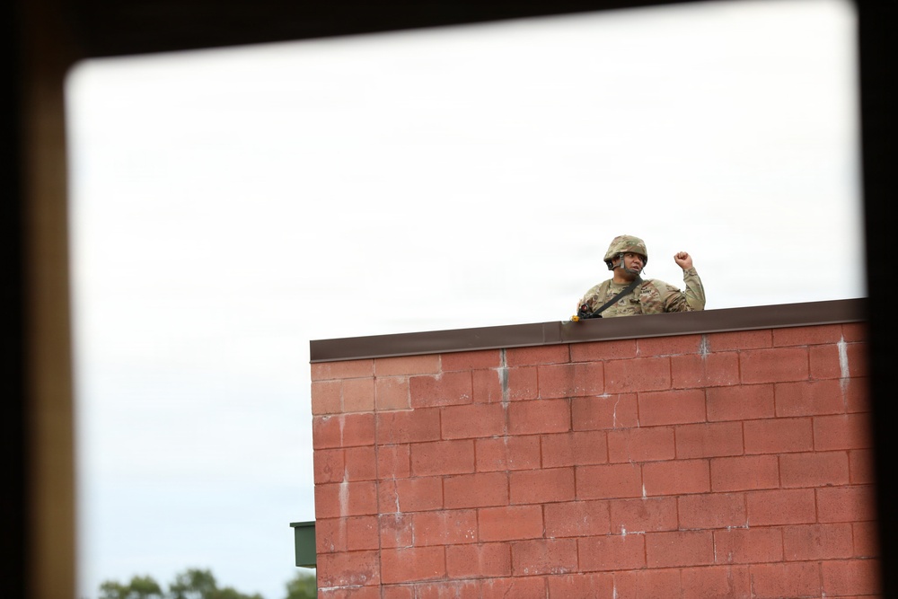 A soldier in camouflage uniform and helmet is visible above the roofline of a red brick building, with one fist raised in the air. The image is captured through a rectangular frame or window opening, giving it a framed-within-a-frame composition. The overcast sky provides a neutral background behind the figure.
