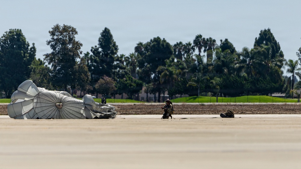 A military paratrooper has just landed on a flat, paved surface, likely an airfield or tarmac. A large white/gray parachute canopy is collapsed and spread across the ground to the left of the jumper. The background features a treeline with palm trees and deciduous trees, suggesting a warm-climate location.