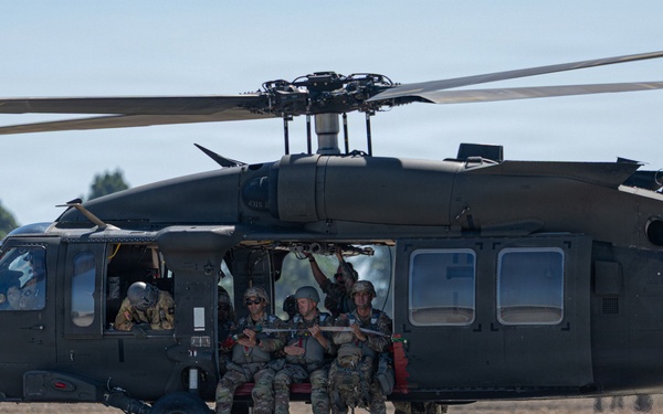 A United States Army UH-60 Black Hawk helicopter is on a tarmac or airfield with soldiers in military camouflage uniforms positioned in and around the open side door. The soldiers appear to be conducting a training exercise or tactical insertion/extraction drill. The setting appears to be a warm-climate military installation, likely in the southwestern United States based on the palm trees visible in the background.