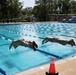 Two individuals wearing military camouflage uniforms and boots are captured mid-air as they dive into an outdoor competitive swimming pool. The image appears to document a military water training exercise, as both subjects are fully clothed in combat attire rather than swimwear. The pool is a standard multi-lane competition facility with blue lane dividers, visible depth markings, and surrounding infrastructure.