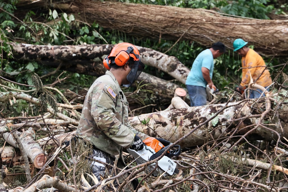 A U.S. Army soldier in camouflage uniform and STIHL safety helmet with ear protection operates a STIHL chainsaw amid a large debris field of fallen trees. Two civilians in the background also appear to be working on clearing the fallen timber. The scene suggests disaster relief or storm debris clearance operations.