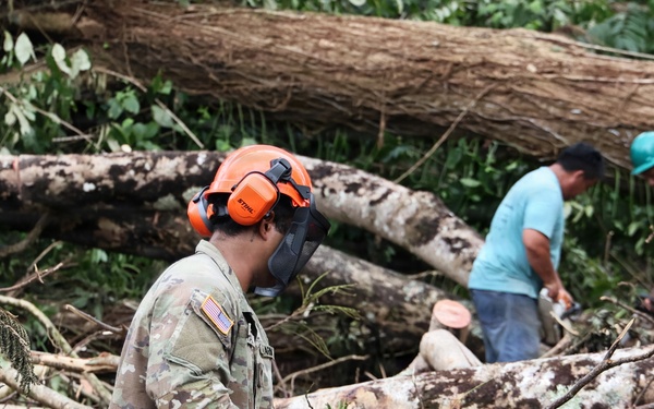 A U.S. Army soldier in camouflage uniform and STIHL safety helmet with ear protection operates a STIHL chainsaw amid a large debris field of fallen trees. Two civilians in the background also appear to be working on clearing the fallen timber. The scene suggests disaster relief or storm debris clearance operations.