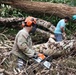 A U.S. Army soldier in camouflage uniform and STIHL safety helmet with ear protection operates a STIHL chainsaw amid a large debris field of fallen trees. Two civilians in the background also appear to be working on clearing the fallen timber. The scene suggests disaster relief or storm debris clearance operations.