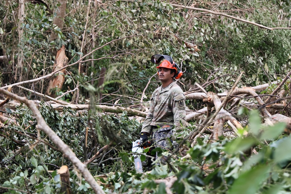 A worker in military-style camouflage uniform and orange safety helmet stands amid a large debris field of fallen and broken trees. He is holding a chainsaw and appears to be assessing or pausing during debris clearing operations. The scene suggests post-storm or disaster cleanup work.