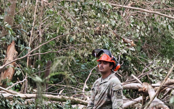 A worker in military-style camouflage uniform and orange safety helmet stands amid a large debris field of fallen and broken trees. He is holding a chainsaw and appears to be assessing or pausing during debris clearing operations. The scene suggests post-storm or disaster cleanup work.