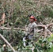 A worker in military-style camouflage uniform and orange safety helmet stands amid a large debris field of fallen and broken trees. He is holding a chainsaw and appears to be assessing or pausing during debris clearing operations. The scene suggests post-storm or disaster cleanup work.