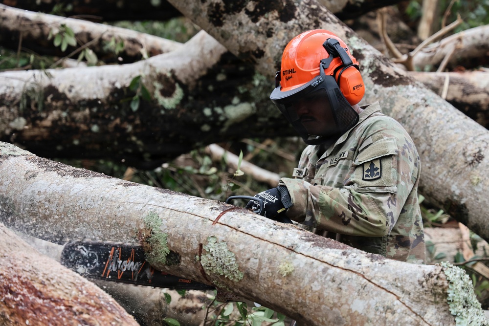 A U.S. Army soldier in camouflage uniform is using a STIHL chainsaw to cut through fallen trees, likely during disaster relief or debris clearing operations. The soldier is wearing full personal protective equipment including an orange STIHL hard hat, face shield, ear protection, and protective gloves. Multiple large fallen tree trunks are visible in the background, suggesting significant storm or disaster damage.