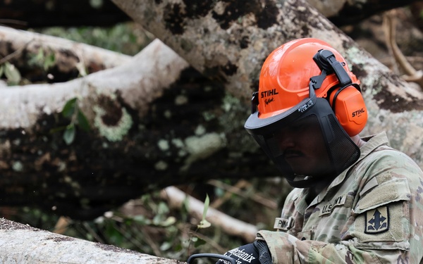 A U.S. Army soldier in camouflage uniform is using a STIHL chainsaw to cut through fallen trees, likely during disaster relief or debris clearing operations. The soldier is wearing full personal protective equipment including an orange STIHL hard hat, face shield, ear protection, and protective gloves. Multiple large fallen tree trunks are visible in the background, suggesting significant storm or disaster damage.
