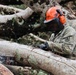 A U.S. Army soldier in camouflage uniform is using a STIHL chainsaw to cut through fallen trees, likely during disaster relief or debris clearing operations. The soldier is wearing full personal protective equipment including an orange STIHL hard hat, face shield, ear protection, and protective gloves. Multiple large fallen tree trunks are visible in the background, suggesting significant storm or disaster damage.