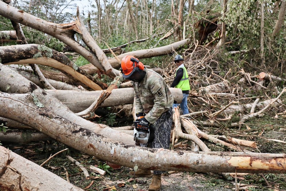 Two workers are engaged in storm debris clearance operations amid a large field of fallen and uprooted trees. The foreground worker, wearing military camouflage uniform and an orange safety helmet with face shield, is actively using a chainsaw to cut through downed logs. A second worker in a high-visibility yellow vest and hard hat stands in the background surveying the area.