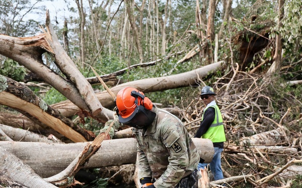 Two workers are engaged in storm debris clearance operations amid a large field of fallen and uprooted trees. The foreground worker, wearing military camouflage uniform and an orange safety helmet with face shield, is actively using a chainsaw to cut through downed logs. A second worker in a high-visibility yellow vest and hard hat stands in the background surveying the area.
