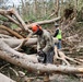 Two workers are engaged in storm debris clearance operations amid a large field of fallen and uprooted trees. The foreground worker, wearing military camouflage uniform and an orange safety helmet with face shield, is actively using a chainsaw to cut through downed logs. A second worker in a high-visibility yellow vest and hard hat stands in the background surveying the area.