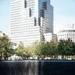 This image shows the 9/11 Memorial in Lower Manhattan, New York City, featuring one of the twin reflecting pools with engraved bronze parapets bearing victims' names. A single red rose has been placed on the parapet, a common tribute left by visitors and family members. The background shows surrounding trees and the Manhattan skyline with tall buildings under a clear sky.