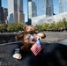 A memorial scene at the 9/11 Memorial in New York City, showing tributes placed on the engraved bronze parapet surrounding one of the reflecting pools. A brown teddy bear labeled 'The Comfort Cub' holds a small American flag, surrounded by white roses and other mementos. The Manhattan skyline, including One World Trade Center, is visible in the background.