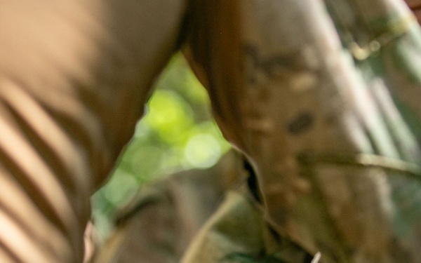U.S., Peruvian and Chilean soldiers conduct jungle survival training, SV26