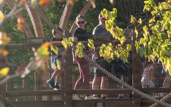 The image shows a zoo or wildlife park setting where visitors are standing on an elevated wooden viewing platform or walkway, observing animals below. A small brown animal, likely a coati or similar mammal, is visible perched on a rope or structure in the foreground. The scene is framed by autumn-colored foliage and sunflowers, suggesting a fall season setting.