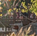 The image shows a zoo or wildlife park setting where visitors are standing on an elevated wooden viewing platform or walkway, observing animals below. A small brown animal, likely a coati or similar mammal, is visible perched on a rope or structure in the foreground. The scene is framed by autumn-colored foliage and sunflowers, suggesting a fall season setting.